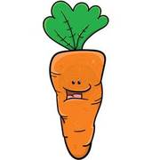 Tn carrot