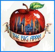 Tn new york city big apple