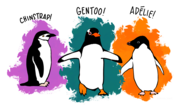 Tn penguins