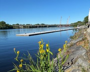 Tn img 0728