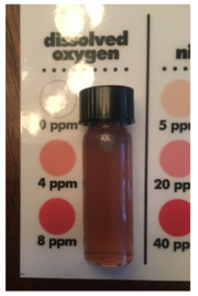 Tn dissolved%20oxygen