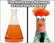 Tn the difference between a flask and a beaker   muppets